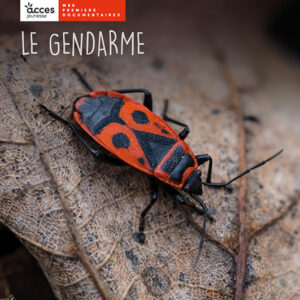 LEAE3 le-gendarme-couverture