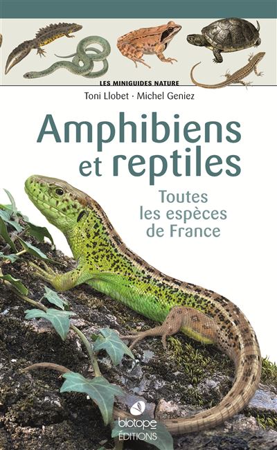Les-miniguides-nature-Amphibiens-et-reptiles-de-France