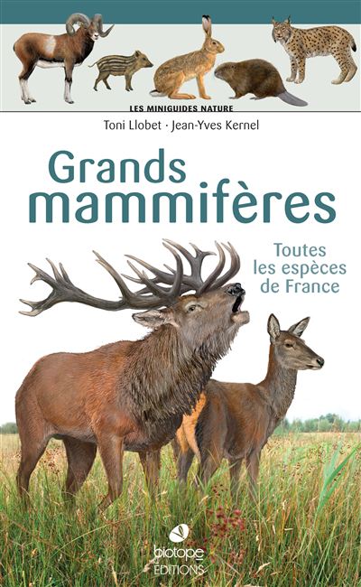 Les-miniguides-nature-Grands-mammiferes-terrestres-de-France