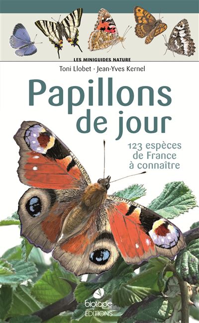 Les-miniguides-nature-Papillons-diurnes-de-France
