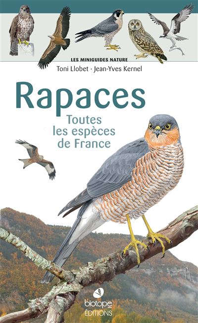 Les-miniguides-nature-Rapaces-de-France