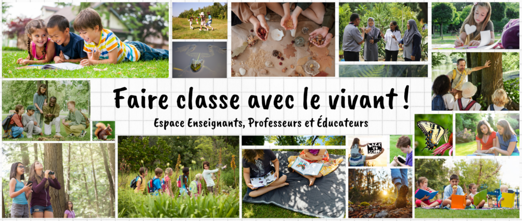 Visuels site article espace enseignants