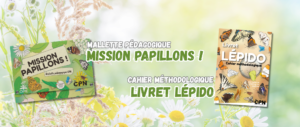 mallette pap (1)