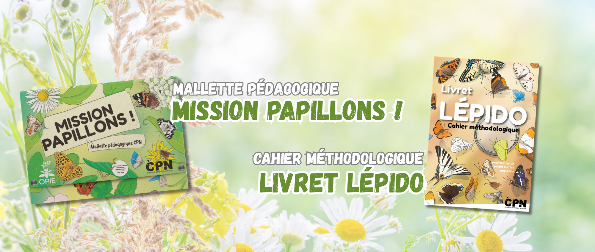 mallette pap (1)