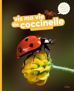 Vis-ma-vie-de-coccinelle