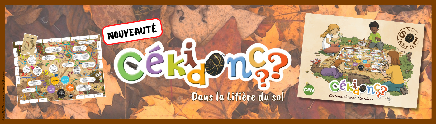 Cékidonc
