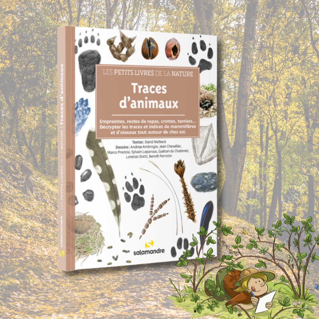 LES143 Traces d'animaux