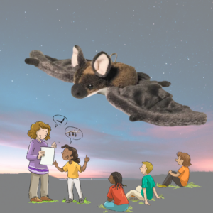 MATH4 - peluche chauve-souris