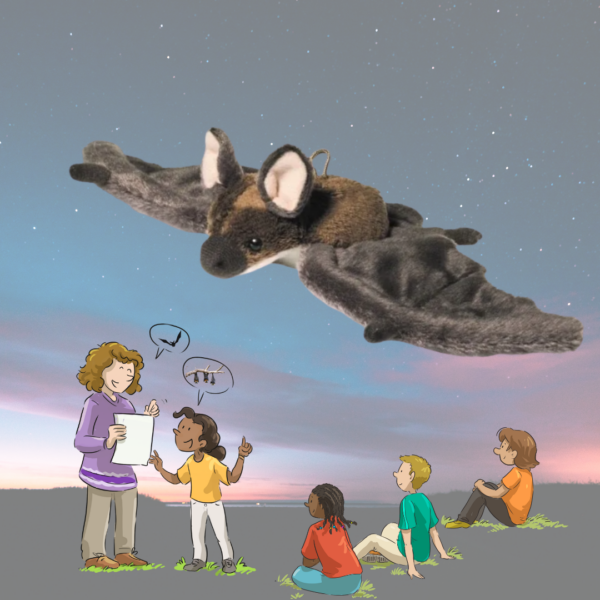 MATH4 - peluche chauve-souris