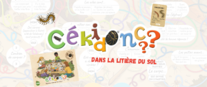 Visuels site actualités (1)