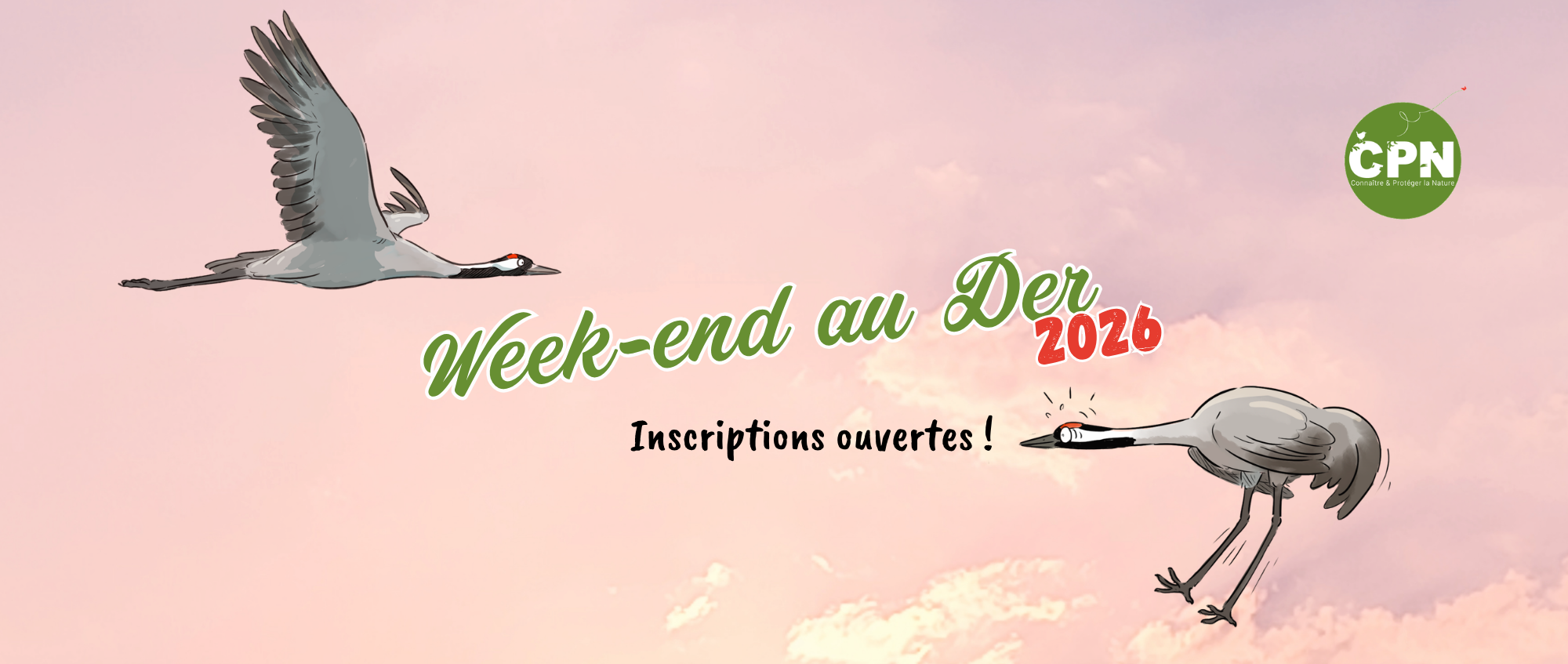 BB Week cpn au der