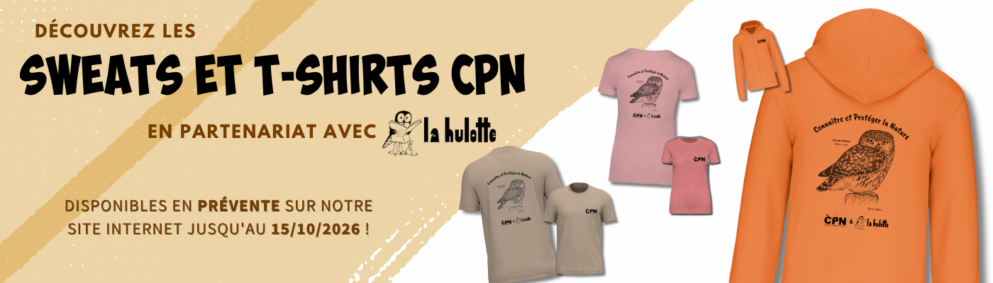 prévente