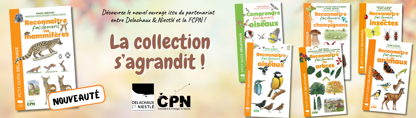 Bandeaux boutique (1)