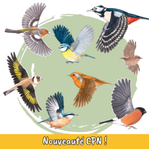 DC119 Lot Mobiles oiseaux