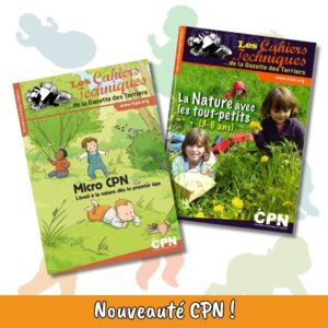 DC120 Lot n°10 - Bout de chou