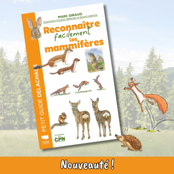 LEL210 Reconnaître facilement les mammifères