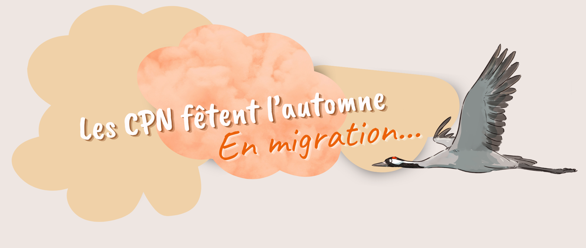Visuels site actualités (2)